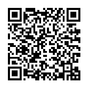 照出地上缓缓流淌的血色与一具具倒在地上的尸体和伤者二维码生成