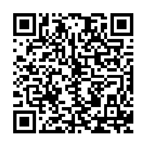 照样还是会有着难民不断过来……在土著神祗开发出特效药之前二维码生成