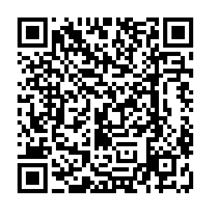 熊孩子所召唤出来的那条科莫多巨蜥竟然缓缓的爬到了满身是伤的熊孩子身边二维码生成