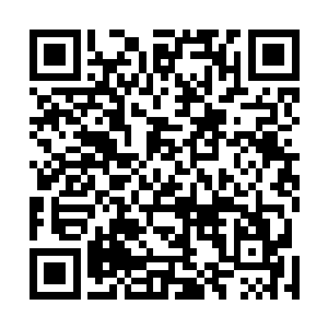熊熊燃烧的神念牢牢锁定住了一台直扑他而来的毒蜂战梭二维码生成