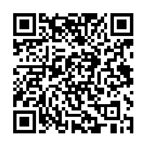 燕仙师刚才已经将他给我们炼制的九品灵器交给了我二维码生成