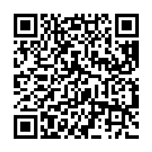 燕无双也是看在双胞胎的份上才吩咐礼部厚葬周炎的二维码生成