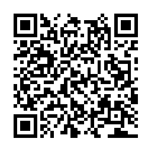 爱莎和爱娜现在看起来和刚来林家的时候不一样了二维码生成