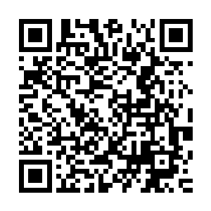 父亲在拿到亲子鉴定结果的时候给他打电话是那样的兴奋激动二维码生成