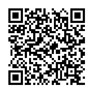 父亲在海湾战争之中指挥过多次陆军行动得过勋章二维码生成