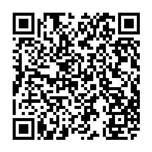 父母告诉孩子们不能比划蛇是怕孩子看到蛇好奇的去比划而因此被蛇咬伤二维码生成