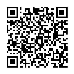 父王总不能指望他一个十岁的小孩儿大展神威灭了墨景黎吧二维码生成