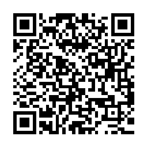 爷爷这次我出去的时候将辉煌帝国的那张藏宝图给收集齐全了二维码生成