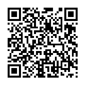 片场外围响起了动物保护者组织的代表抗议的声音二维码生成