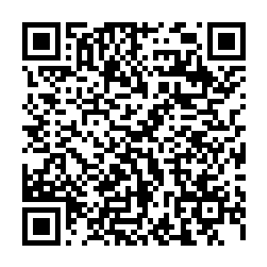 牧夫人把视线从雕刻里那些仿佛蕴藏着无限星空之美的繁复线条间收回来二维码生成