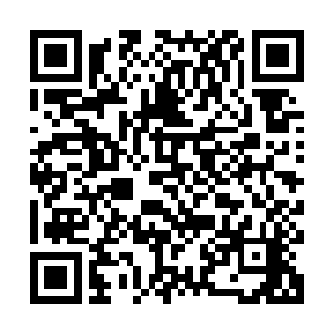 特别是群众演员在安全保障上从一开始就存在着严重的差别对待二维码生成