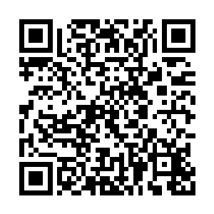 特别是那些得到了方恒给他们的法界玄功的散修二维码生成