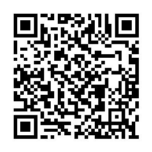 犹他大学毕业的律师脸红的像是法庭的地板似的二维码生成