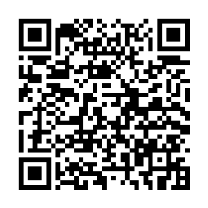 狗日的参军主簿给我们分钱的时候是按着六成发的二维码生成