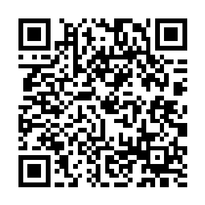 独孤风所要经受的苦难绝对要比现在强大无数倍不止二维码生成