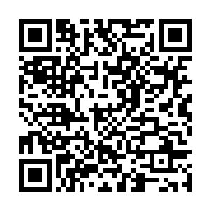 独自一个人不组队到妖兽森林里冒险是不可思议的二维码生成