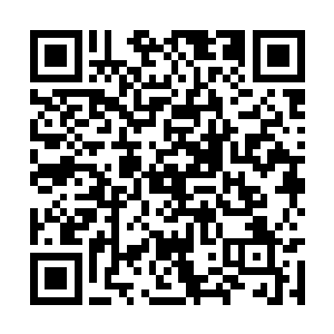 猛哥的攻击瞬间将挡在他面前所有的一切全都粉碎二维码生成