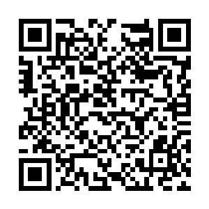 猛子从人缝里一脚将刚要爬起的夏侯龙城给踹翻了二维码生成