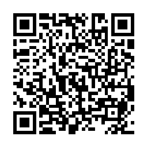 猛然土地里面生长出来了七八条翠绿色的藤蔓将其再次缠住二维码生成