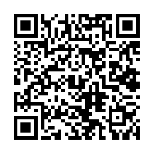 猝然正听一声宛若洪荒巨兽一般的怒吼声霍然响荡起来二维码生成