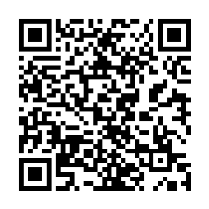 猫妖显然也是被夏天一系列的反应给猫妖留下了很大的印象二维码生成