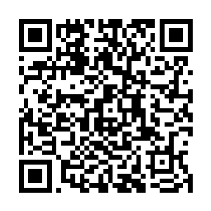 猴子ぽ黄杰ぽ郑午ぽ毛毛ぽ林可儿ぽ柳依娜ぽ张璇他们都在二维码生成