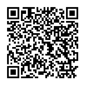 玄五宗宗主和那位儒雅中年人则是满眼兴味和期待的看着夜染几人二维码生成