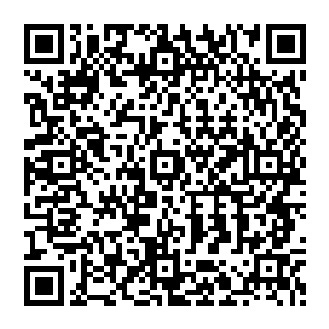 玄天冥与凤羽珩二人则利用这几日时间了解松州地下被端木安国借千周财力挖出来的偌大地宫二维码生成