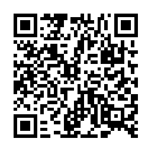 玄天界主的域界被我轮回之门轰得没有了再战之力二维码生成