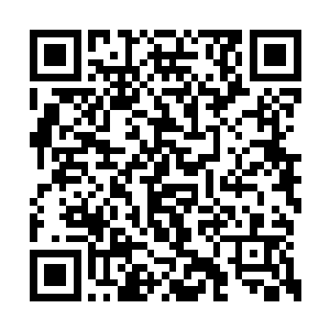 玄学界各大势力损失的宗师数量便是超过二十位二维码生成