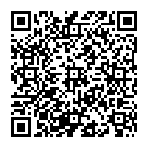 玄学界谁不知周通天是个心胸狭隘胡搅蛮缠强取豪夺一言不合便与人大打出手的混球二维码生成