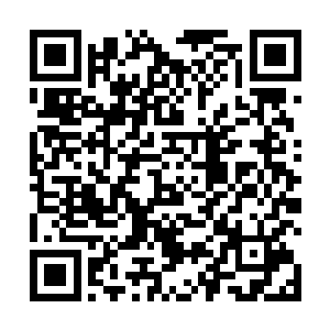 玄玉果的生长的速度也绝对比正常情况要快了数倍不止二维码生成