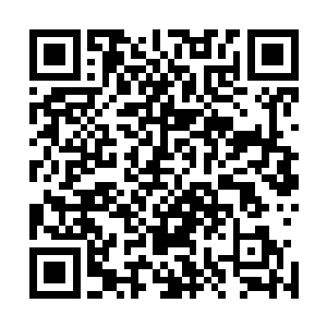 玄真派的人看到一把莫名的艳红的飞刀将赵文斌逼进了药田二维码生成