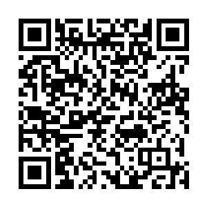 玄黄宗少宗主的秘密也顷刻间完全暴露在了龙傲天的眼中二维码生成