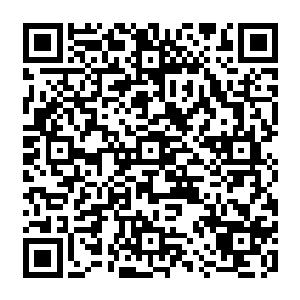 玄黄石……混沌石……寻到这些东西让我吞噬……区区先天灵宝……一刀给你斩了二维码生成