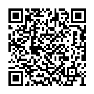 玉灼见秦铮的模样似乎在深刻地思考和反省自己二维码生成