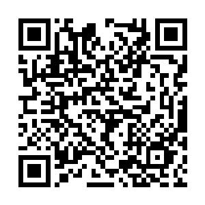 玉简之内和兑宝殿的玉简一样也是有着上万个任务二维码生成