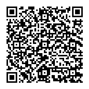 王世子在给五名肩膀上又有杠又有星的大人物们初步演示了地网系统的具体功能后便说出了以上那番言论二维码生成