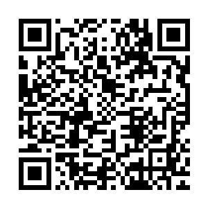 王世子并不对李再荣的这次来访能够达成什么协议抱有太大信心二维码生成