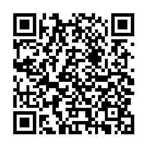 王世子相信即便是他已经将自己的想法跟唐森和盘托出了二维码生成