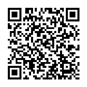 王井泉身边的一位设计师身上的衣服便是到了大山老人的身上二维码生成