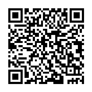 王克的凶狠在苏凡的眼里就如同一只发怒的蚂蚁一样二维码生成