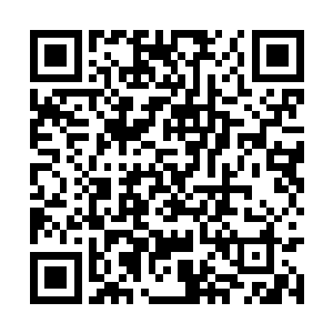 王哲有些不敢置信地看着正双目怒视着他的乌雨琪二维码生成