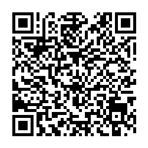 王圣将十几道毛叔画的符咒一股脑给全贴在了完全没有防备的僵尸身上二维码生成