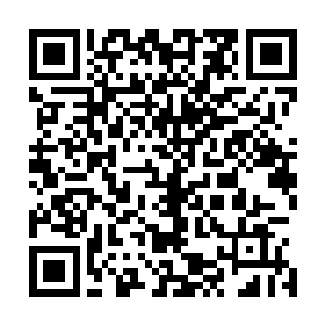 王婉柔说袁威肯定会将注意力放在怀化的入口和田家寨那边二维码生成