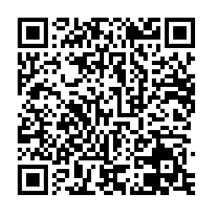 王家人肯定又要筛酒吃肉宴请一些狐朋狗友……于是也不用等第二天了二维码生成