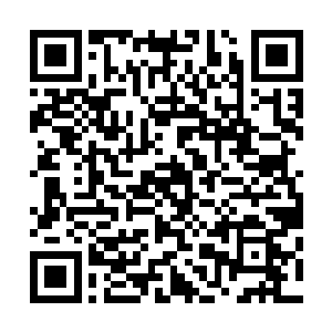 王家和徐家以及李家的商团护卫没有触犯我们安迪城的法律二维码生成