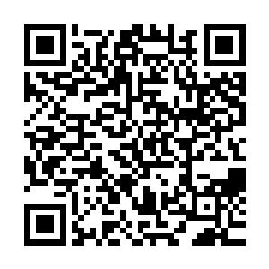 王将军就看到梧桐树下居中的那个剽悍倭寇竟然一点也不害怕二维码生成