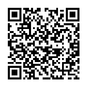 王忠回忆了一下当时那几个小弟描述的秦方的相貌二维码生成