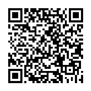 王思坤举报殡仪馆并没有活化尸体而是把尸体悄悄转移了二维码生成